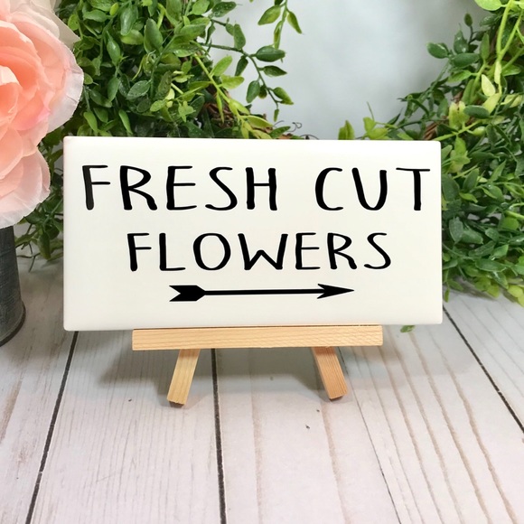 Meet Posher, Becky - Picture 3 of 4